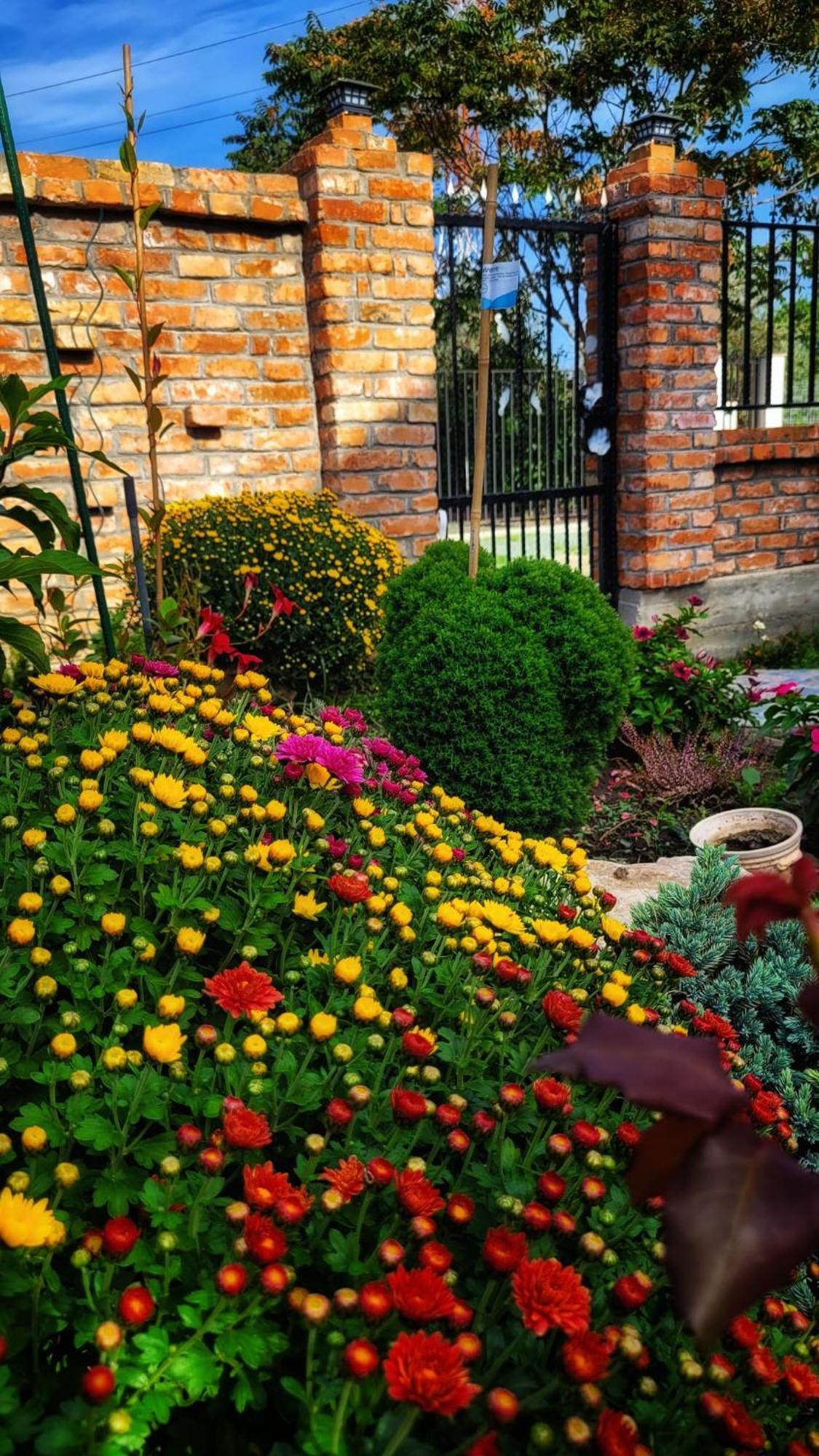 Casa Alba Hotel Năvodari Exterior foto